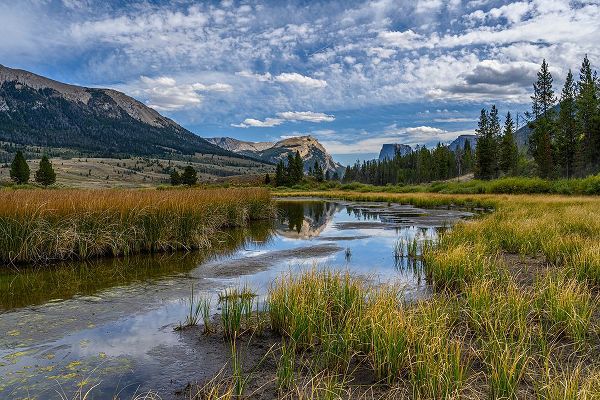 Garber, Howie 아티스트의 USA-Wyoming-White Rock Mountain and Squaretop Peak above Green River wetland작품입니다.